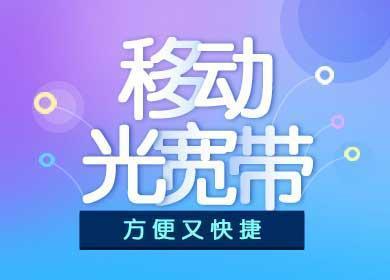 金水区移动宽带